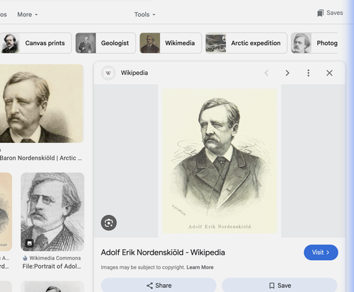 Adolf Erik Nordenskiöld portrait